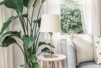 Affordable House Plants For Living Room Decoration 12