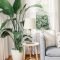 Affordable House Plants For Living Room Decoration 12