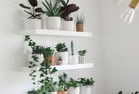 Affordable House Plants For Living Room Decoration 18