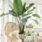 Affordable House Plants For Living Room Decoration 20