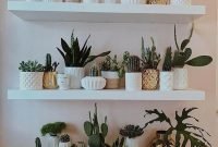 Affordable House Plants For Living Room Decoration 22