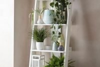 Affordable House Plants For Living Room Decoration 24