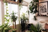Affordable House Plants For Living Room Decoration 27