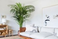 Affordable House Plants For Living Room Decoration 28