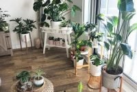 Affordable House Plants For Living Room Decoration 34