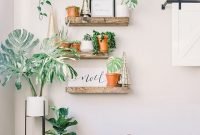 Affordable House Plants For Living Room Decoration 35