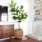Affordable House Plants For Living Room Decoration 36