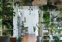 Affordable House Plants For Living Room Decoration 41