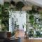 Affordable House Plants For Living Room Decoration 41