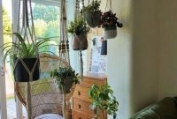 Affordable House Plants For Living Room Decoration 45