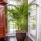 Affordable House Plants For Living Room Decoration 46
