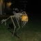 Best Halloween Decoration Ideas That Are So Scary 10