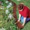 Marvelous Garden Border Ideas To Dress Up Your Landscape Edging 37