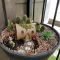 Perfect Fairy Garden Ideas To Inspire Your Mini Garden 05