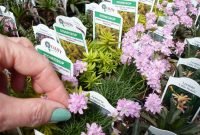 Perfect Fairy Garden Ideas To Inspire Your Mini Garden 49
