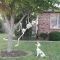 Spooktacular Halloween Outdoor Decoration To Terrify People 23