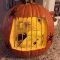 Spooky Pumpkin Halloween Decor Ideas For The Triller Night 31