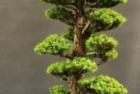 Favorite Bonsai Tree Ideas For Your Garden 04