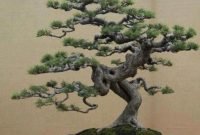 Favorite Bonsai Tree Ideas For Your Garden 09