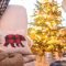 Most Inspiring Holiday Decoration Ideas For Your RV 49