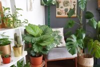 Pretty House Plants Ideas For Living Room Decoration 06