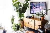 Pretty House Plants Ideas For Living Room Decoration 10