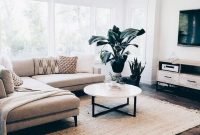 Pretty House Plants Ideas For Living Room Decoration 14