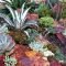 Awesome Succulent Garden Ideas In Your Backyard 02