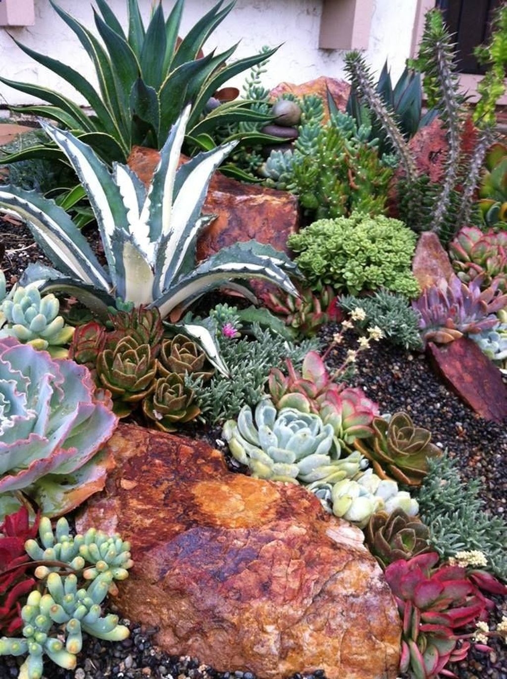 Awesome Succulent Garden Ideas In Your Backyard 02