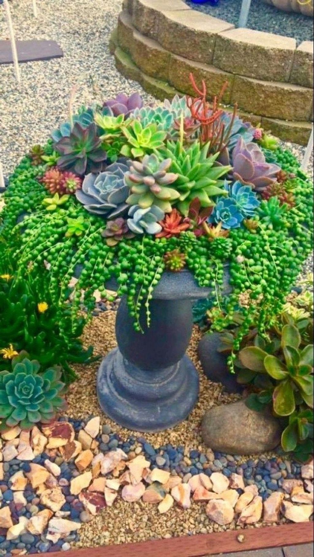 Awesome Succulent Garden Ideas In Your Backyard 03