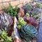 Awesome Succulent Garden Ideas In Your Backyard 04