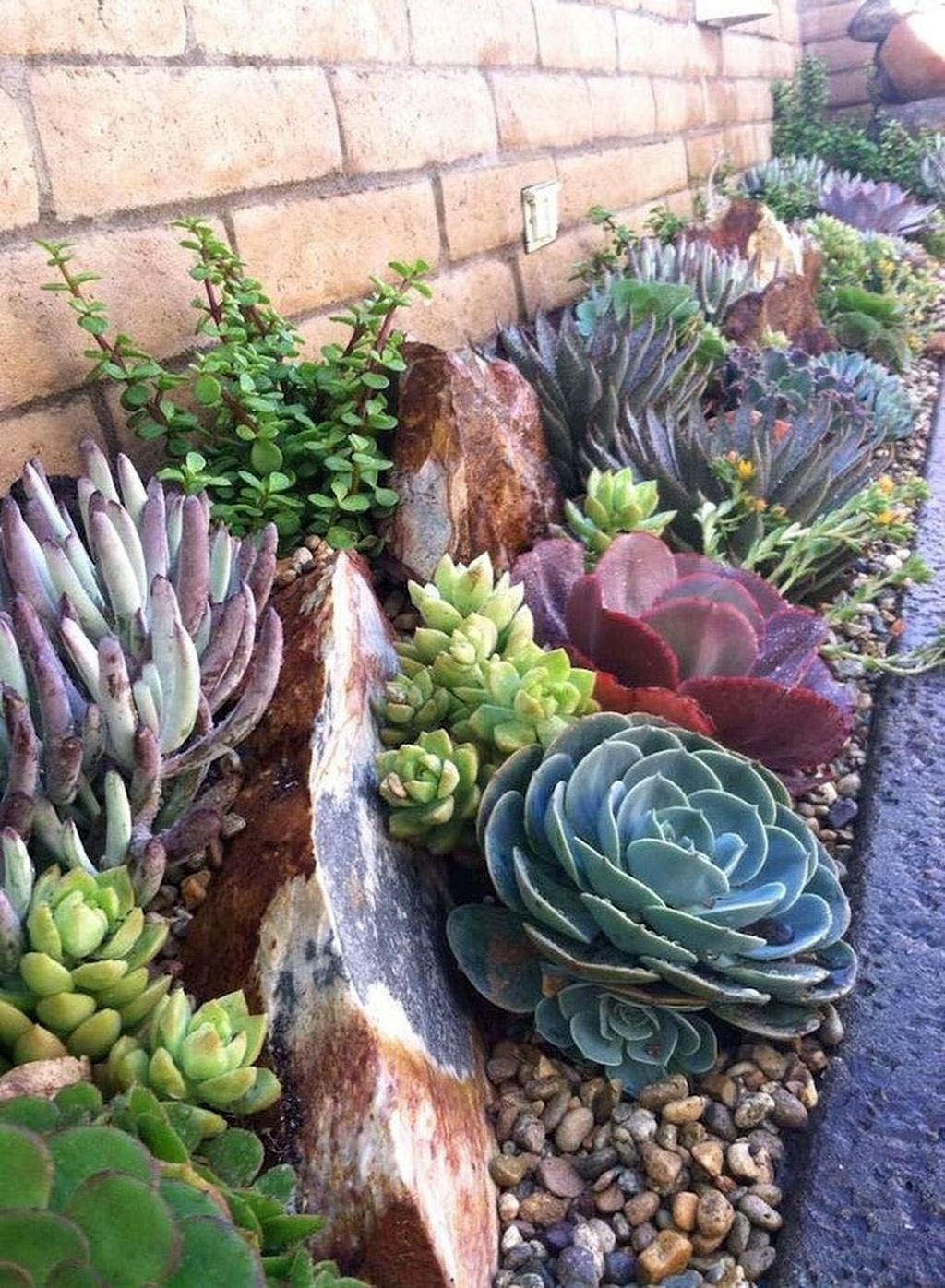 Awesome Succulent Garden Ideas In Your Backyard 04