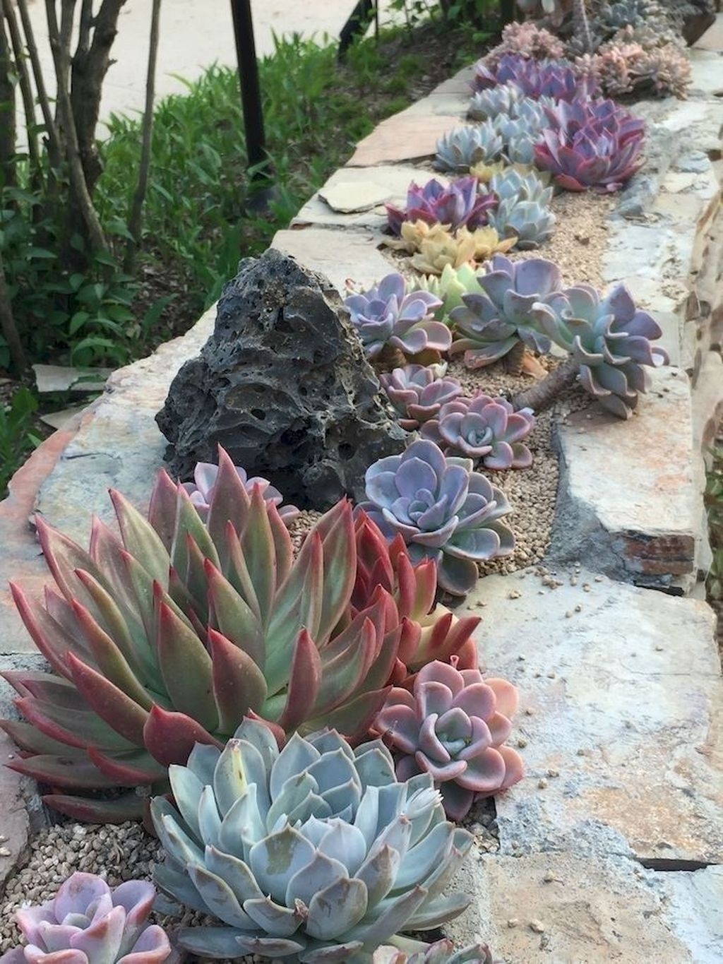 Awesome Succulent Garden Ideas In Your Backyard 06