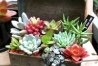 Awesome Succulent Garden Ideas In Your Backyard 07