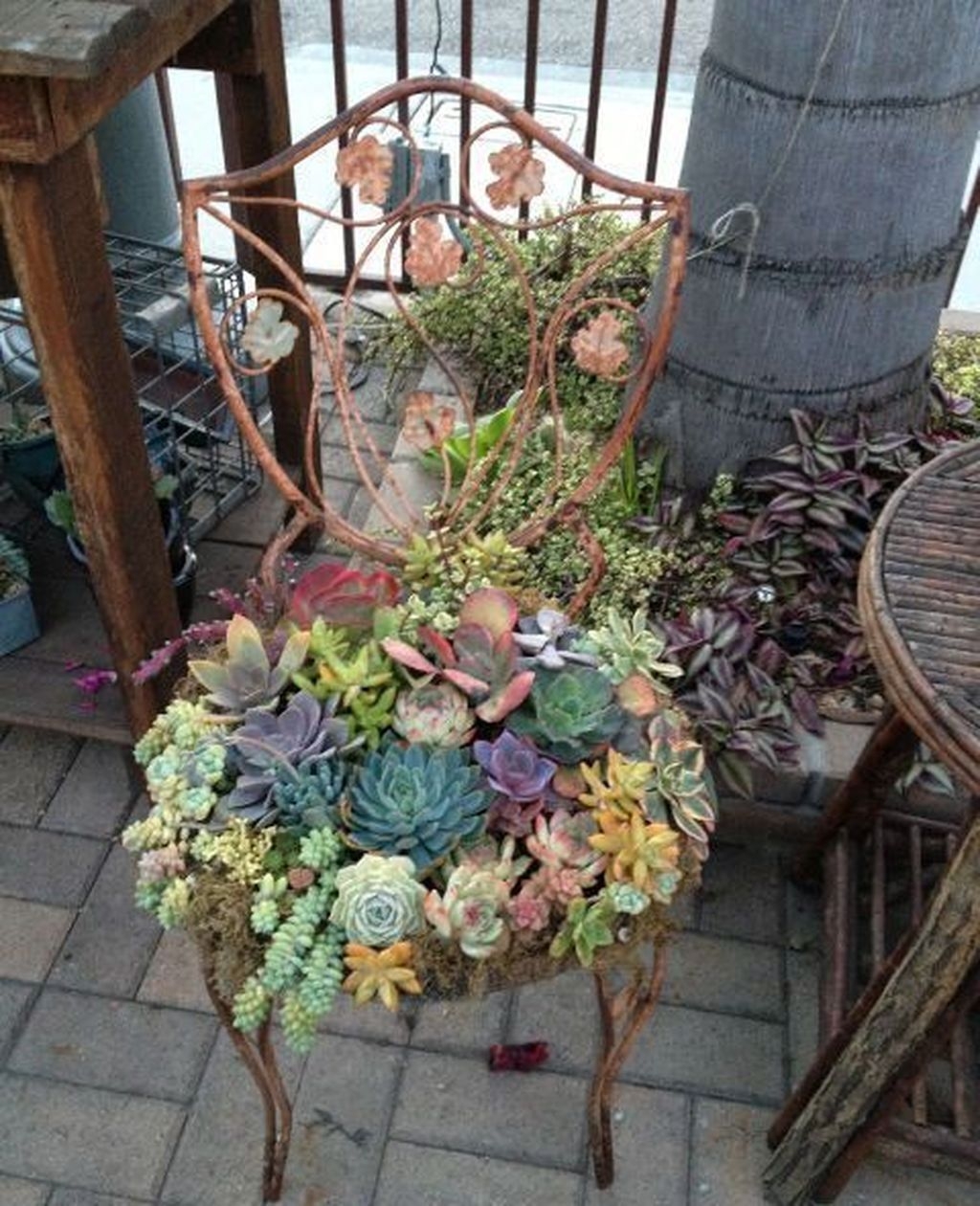 Awesome Succulent Garden Ideas In Your Backyard 11
