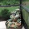Awesome Succulent Garden Ideas In Your Backyard 12