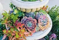 Awesome Succulent Garden Ideas In Your Backyard 13