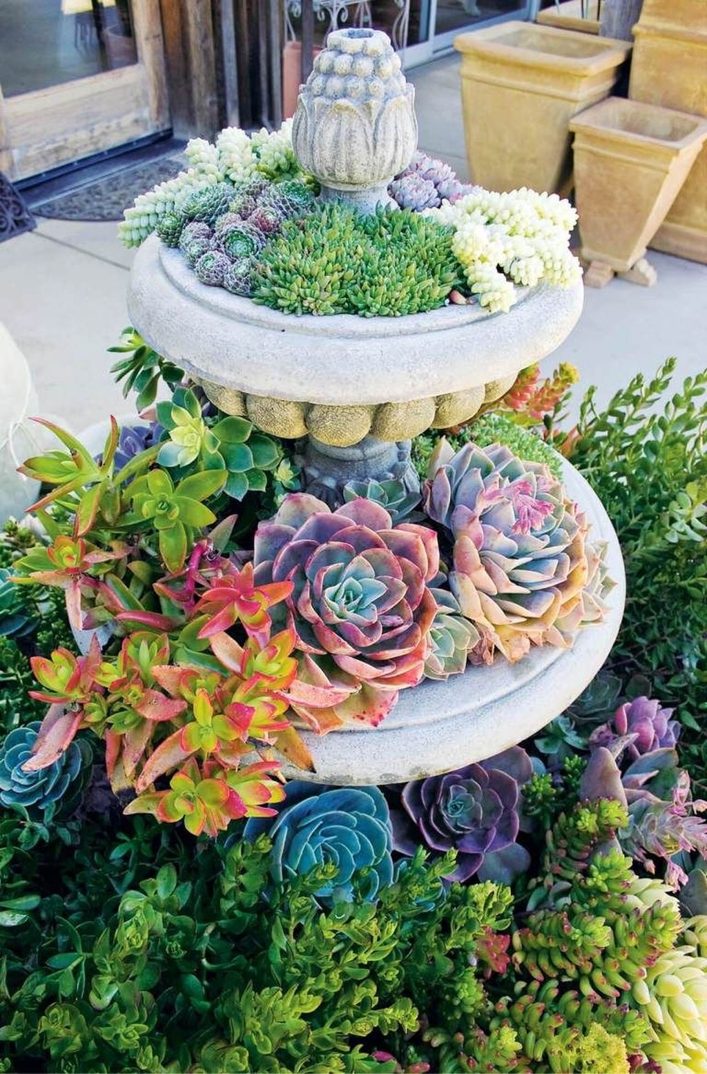 Awesome Succulent Garden Ideas In Your Backyard 13