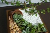 Awesome Succulent Garden Ideas In Your Backyard 15