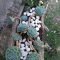 Awesome Succulent Garden Ideas In Your Backyard 16