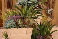 Awesome Succulent Garden Ideas In Your Backyard 17