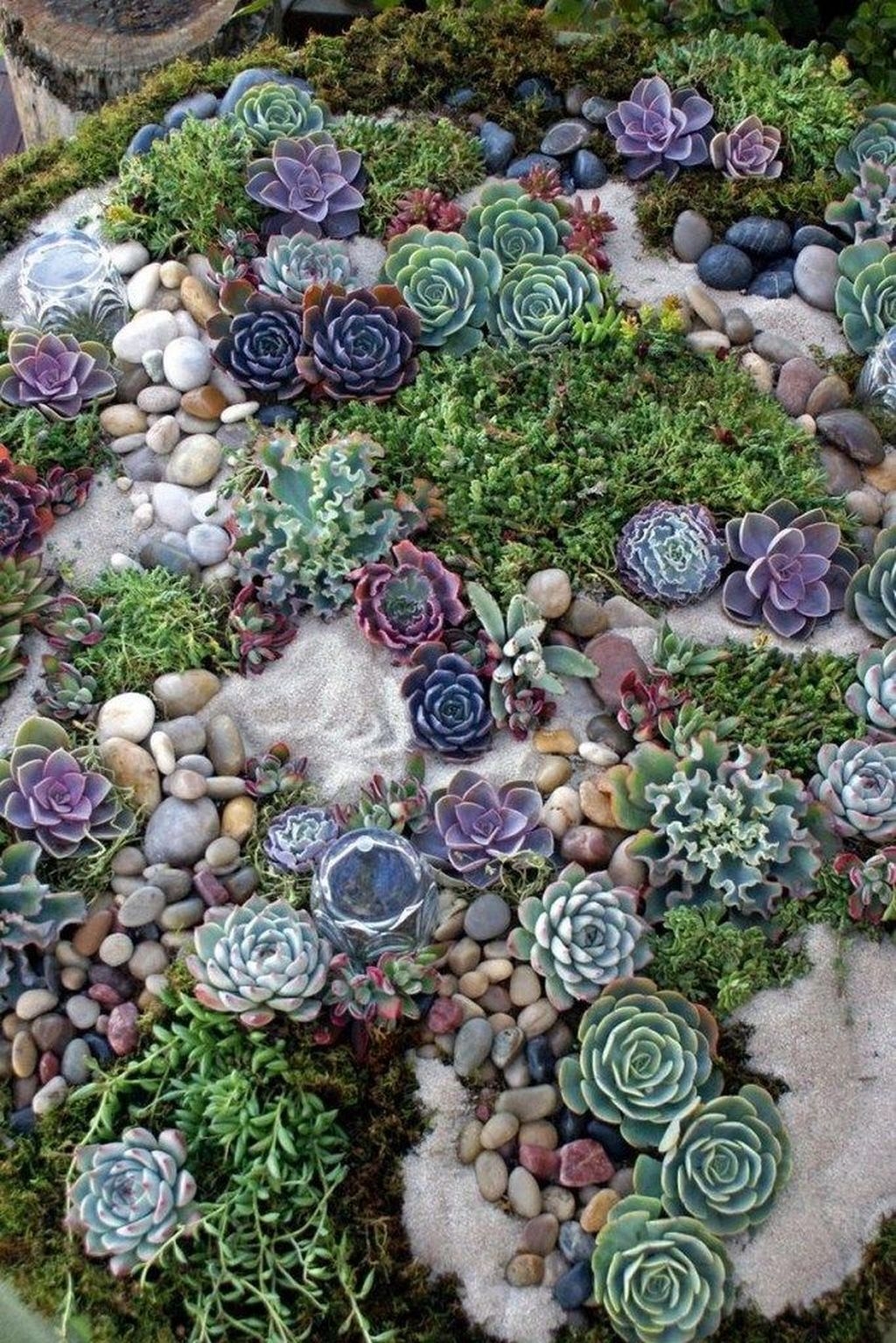 Awesome Succulent Garden Ideas In Your Backyard 18