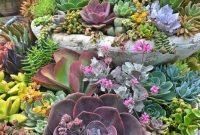 Awesome Succulent Garden Ideas In Your Backyard 19