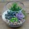 Awesome Succulent Garden Ideas In Your Backyard 21
