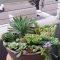 Awesome Succulent Garden Ideas In Your Backyard 22