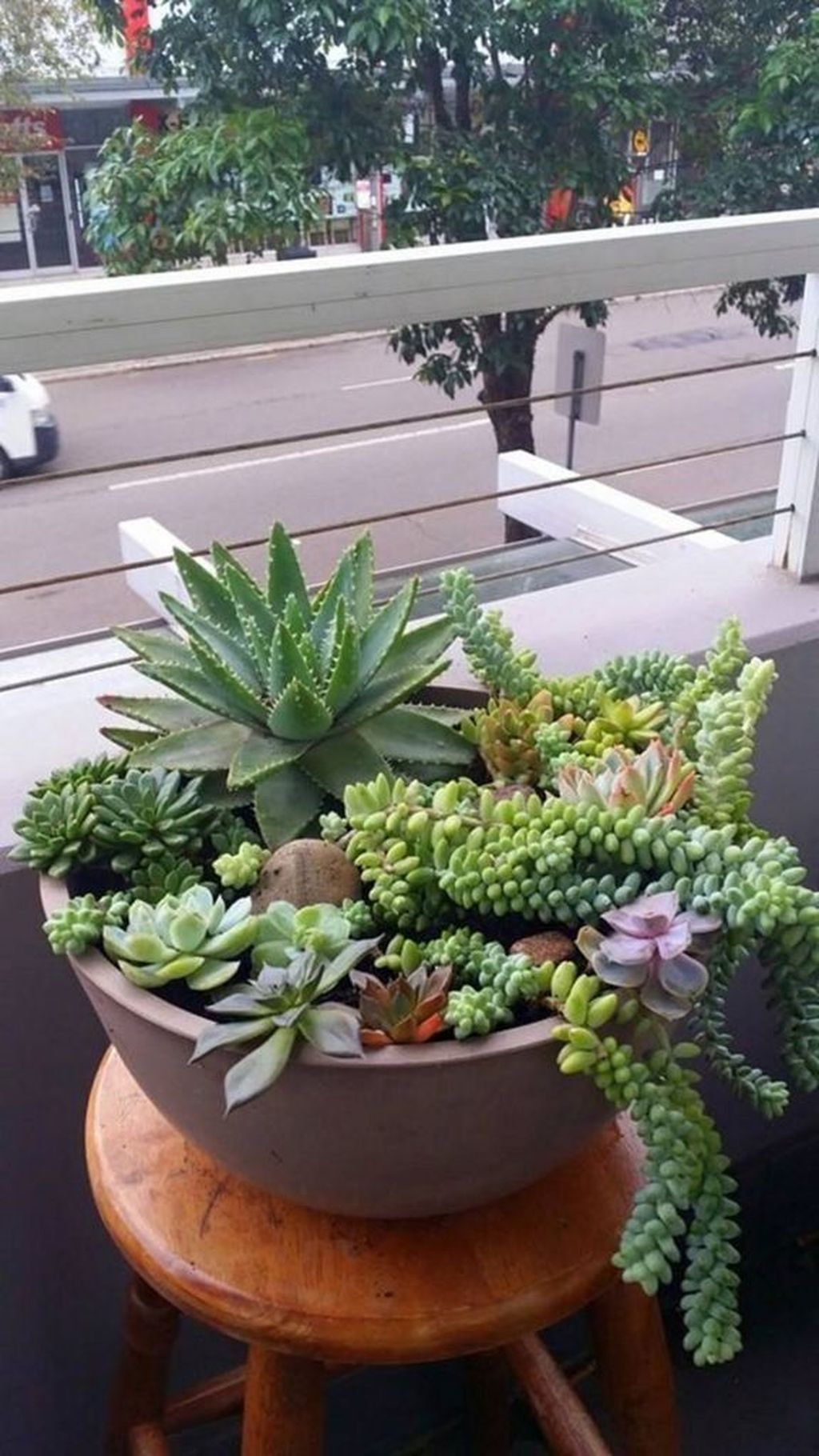 Awesome Succulent Garden Ideas In Your Backyard 22