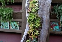 Awesome Succulent Garden Ideas In Your Backyard 23