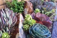 Awesome Succulent Garden Ideas In Your Backyard 24