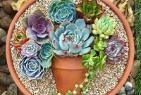 Awesome Succulent Garden Ideas In Your Backyard 27