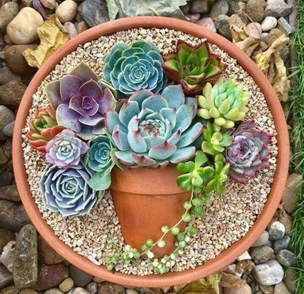 Awesome Succulent Garden Ideas In Your Backyard 27